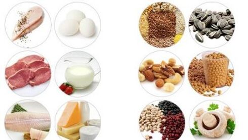 Gizonen potentziarako animalia eta landare proteina handiko produktuak