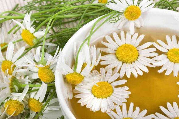 Kamamila decoction potentzia handitzeko