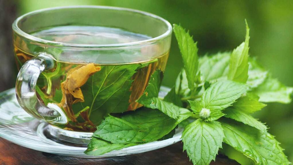 ortiga decoction potentzia handitzeko