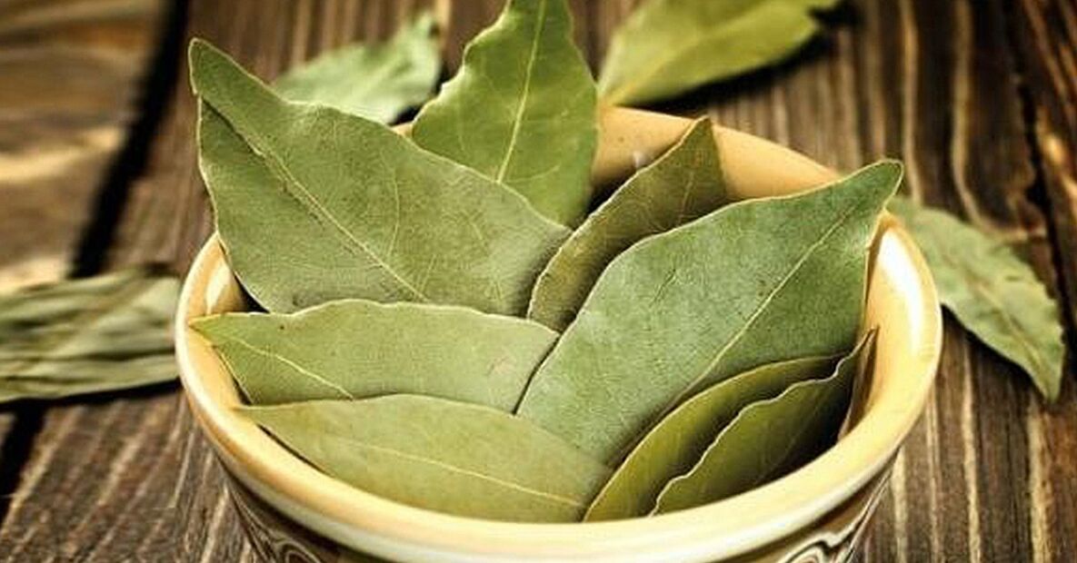 erramu hostoa potentzia handitzeko